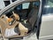 2008 Lincoln MKZ 4dr Sdn FWD