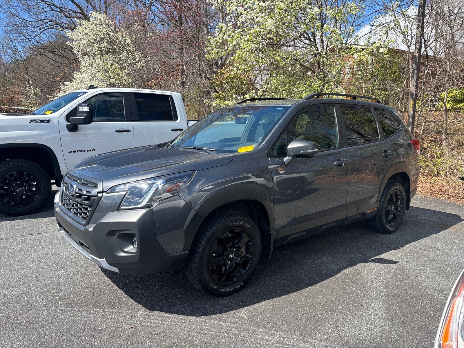 2024 Subaru Forester Wilderness