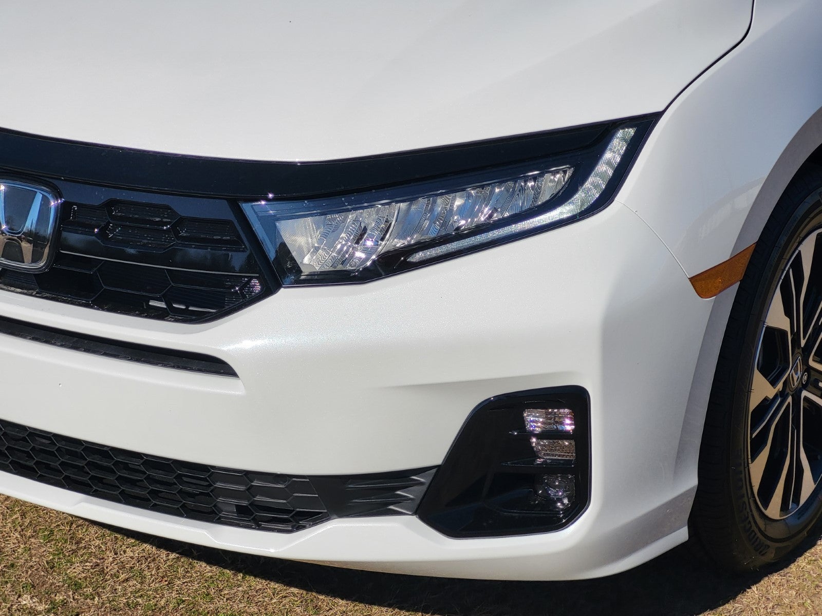 2026 Honda Odyssey Elite