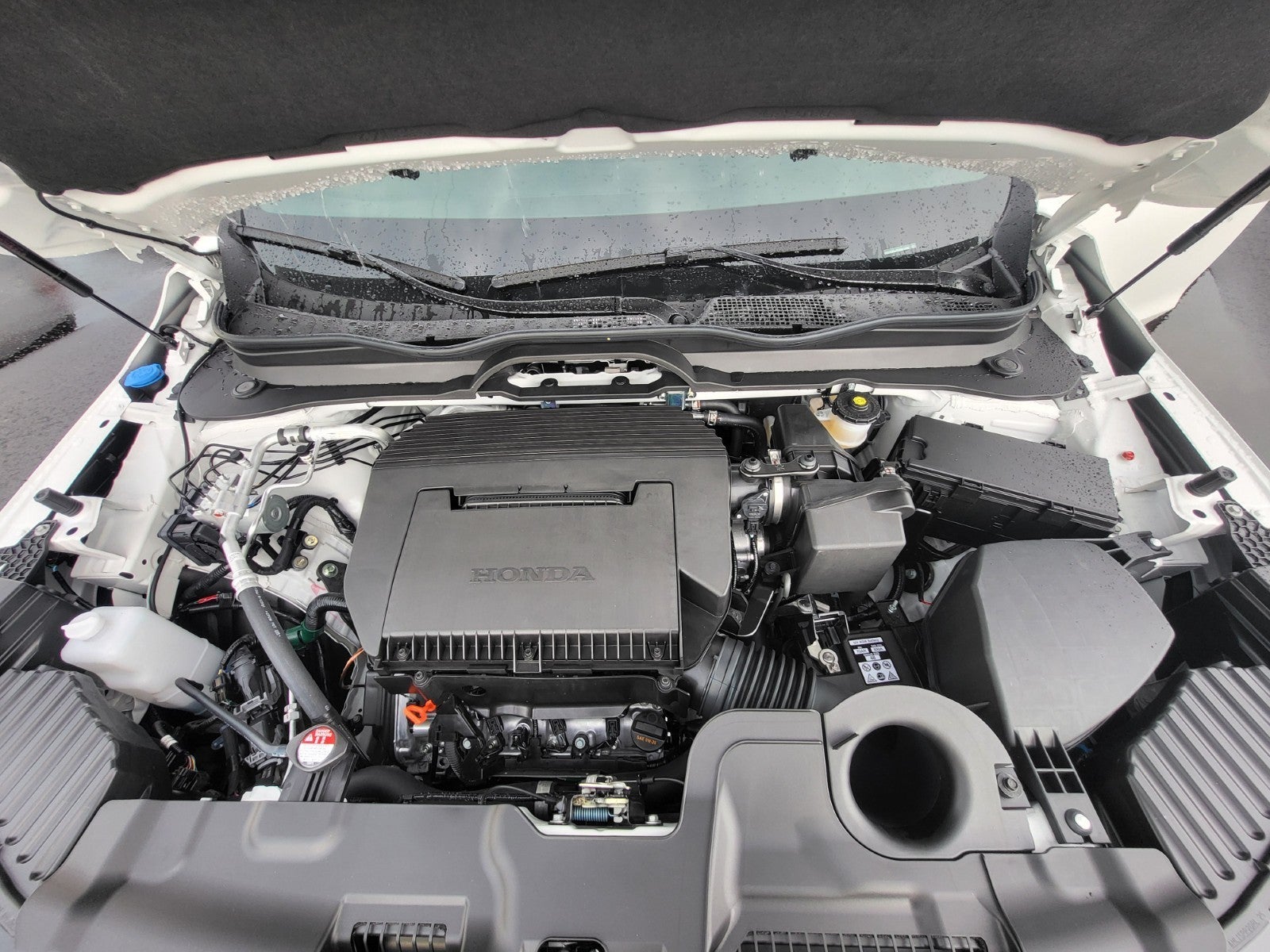 2026 Honda Passport TrailSport Elite Blackout