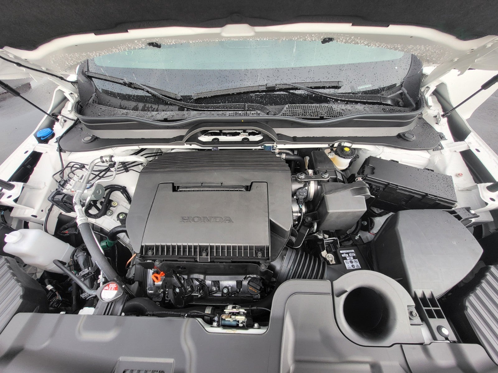 2026 Honda Passport TrailSport Elite Blackout