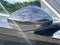 2019 Honda Accord Sedan EX-L 2.0T