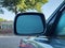 2008 Toyota Camry 4dr Sdn I4 Man (Natl)