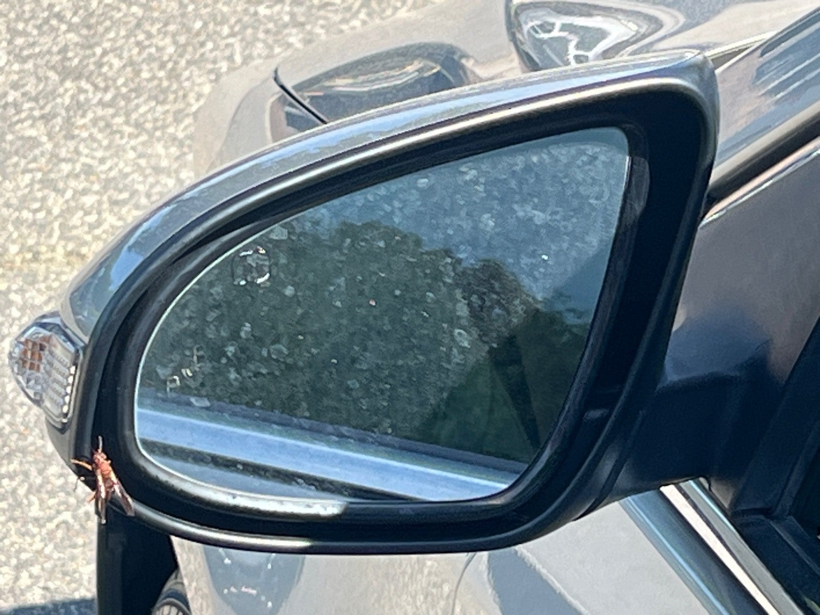 2013 Toyota Avalon Limited