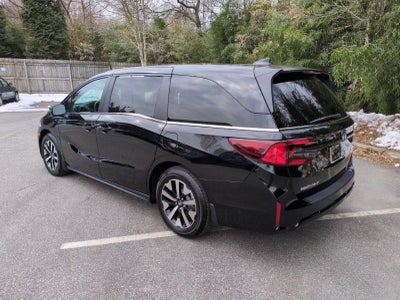 2025 Honda Odyssey EX-L