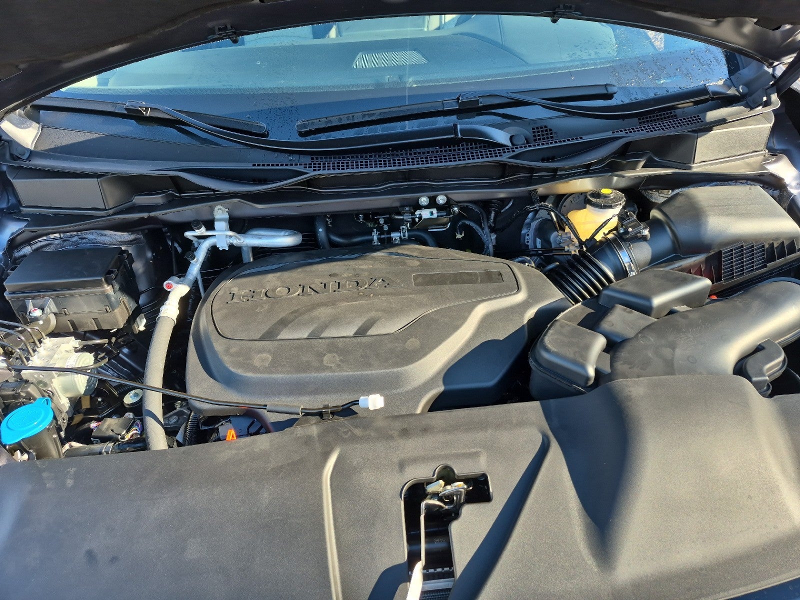 2026 Honda Odyssey Elite