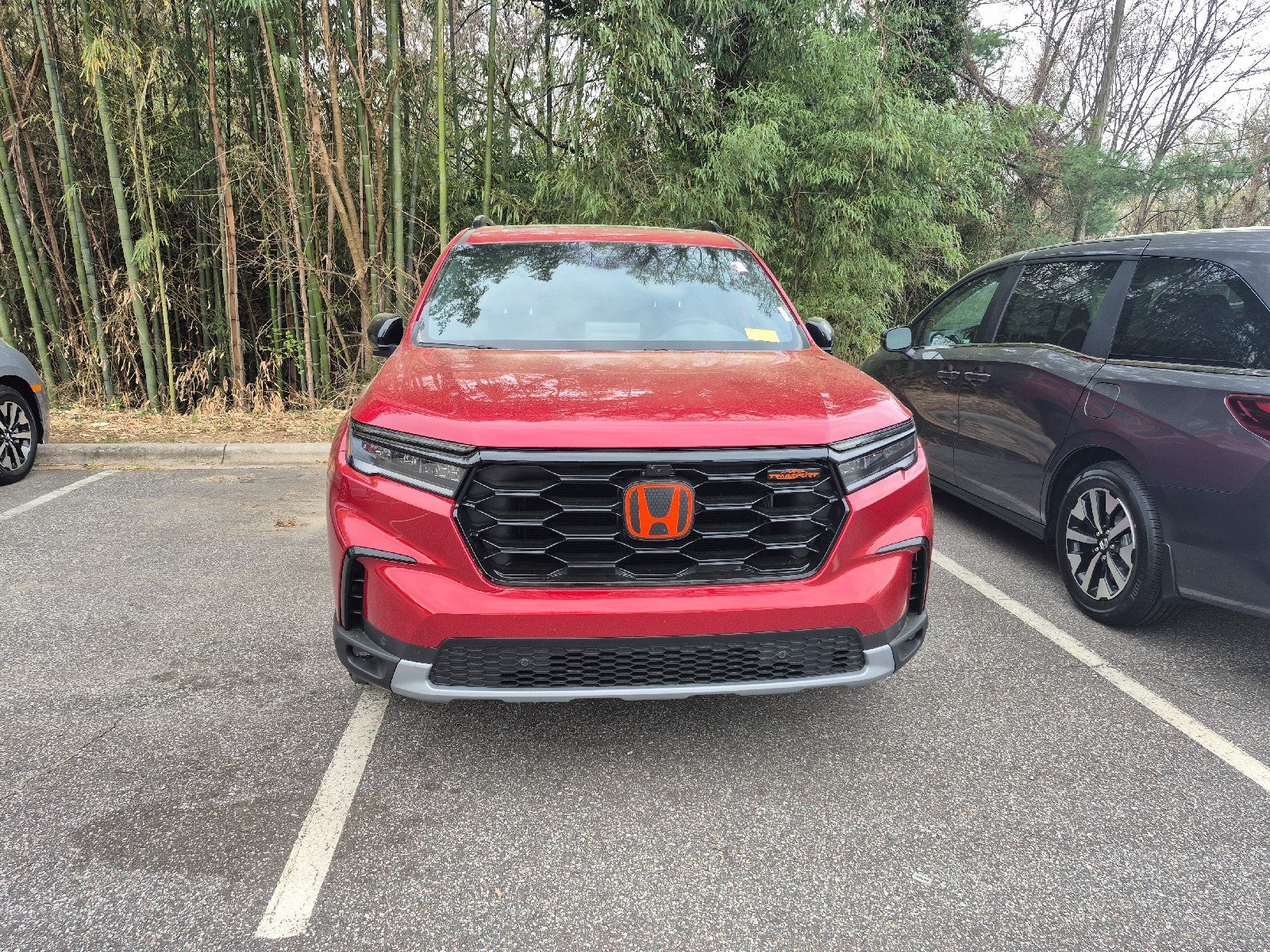 2025 Honda Pilot TrailSport