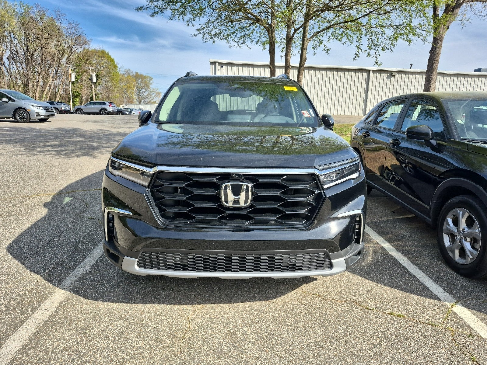 2025 Honda Pilot Elite