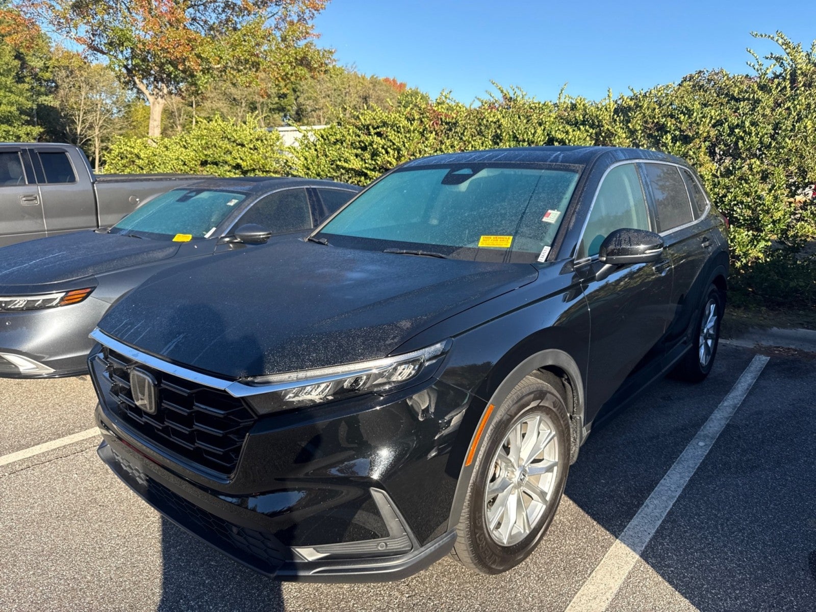 2025 Honda CR-V EX-L