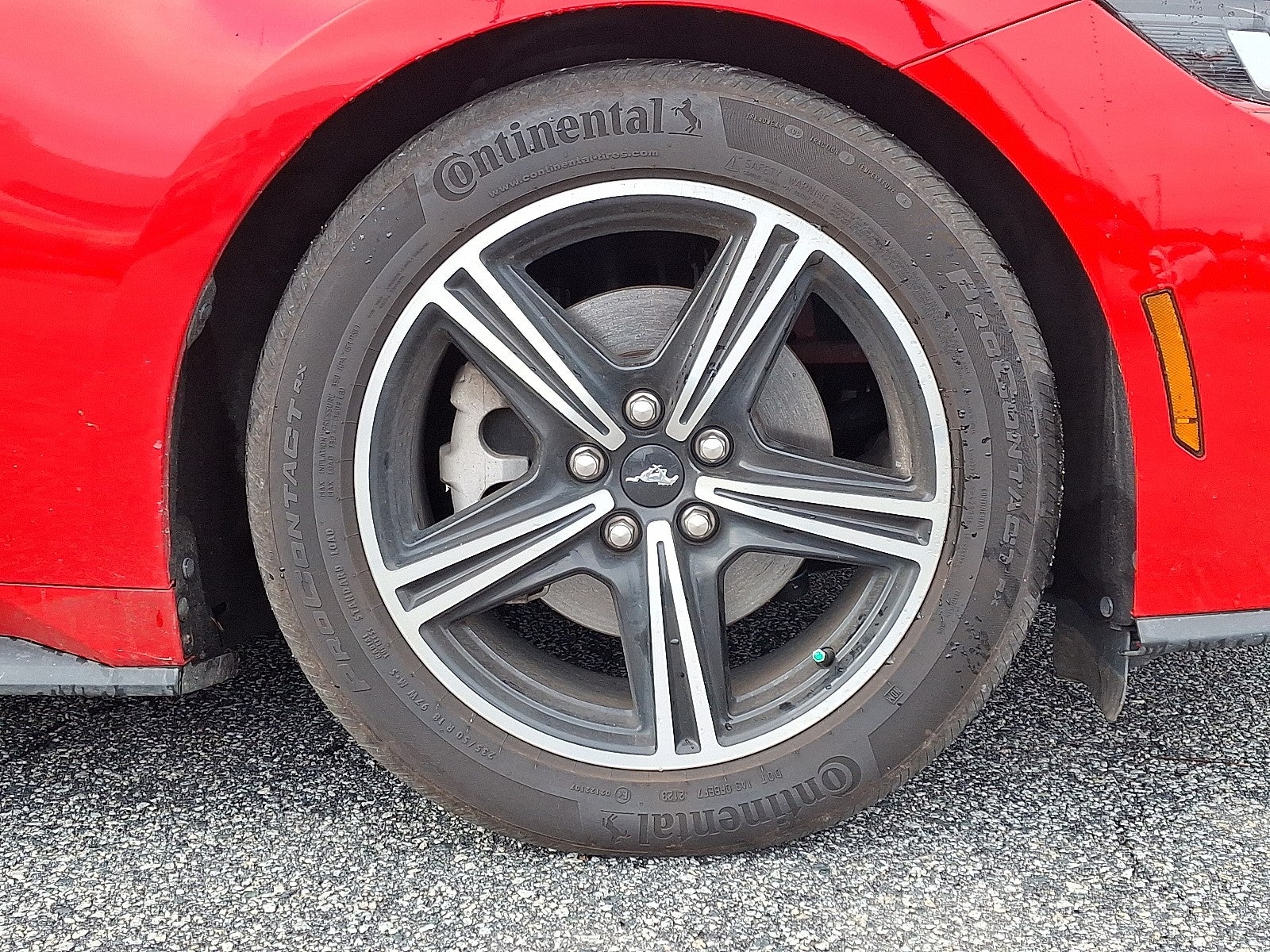 2024 Ford Mustang EcoBoost