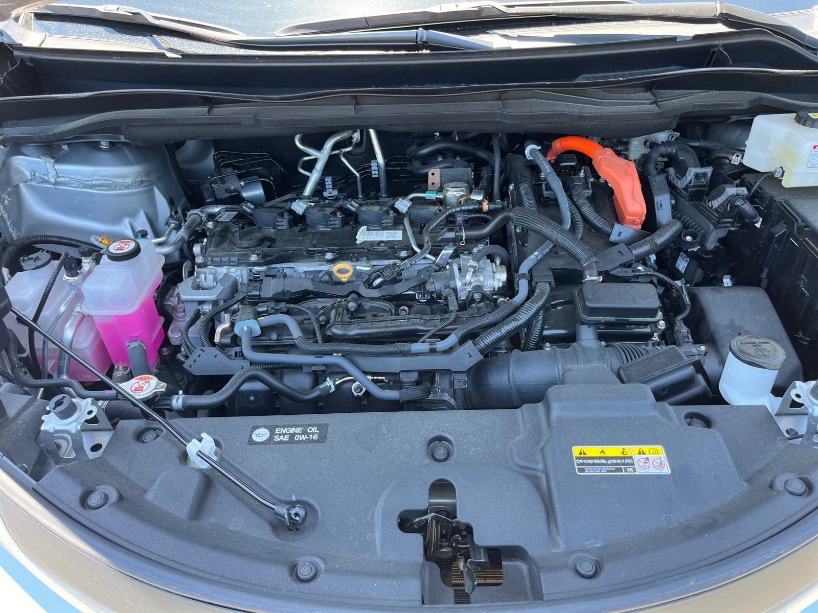 2025 Toyota Sienna LE
