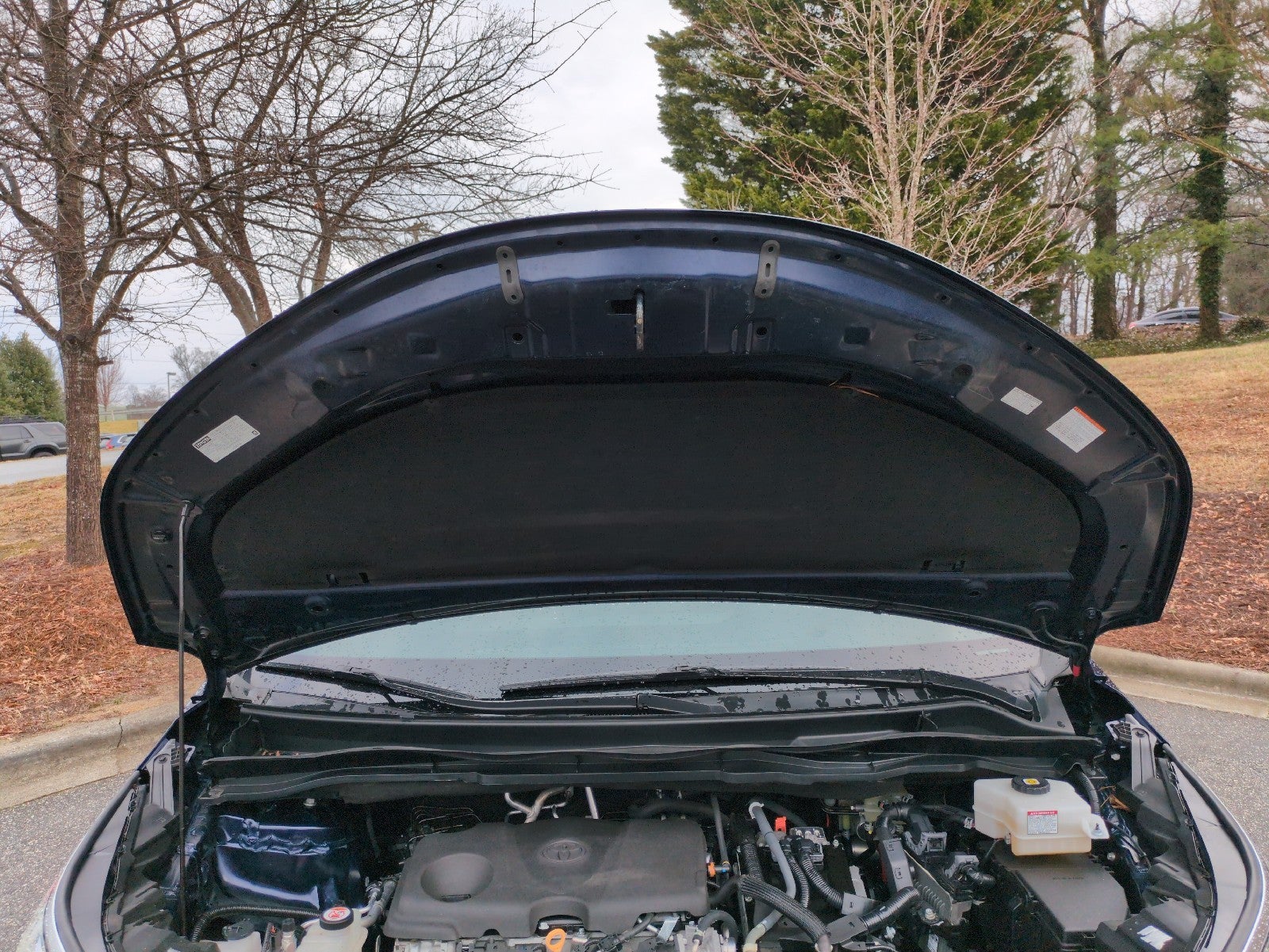 2022 Toyota Sienna XSE