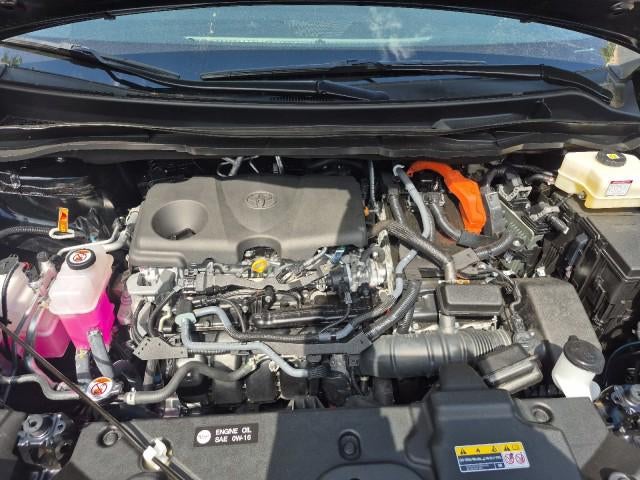 2025 Toyota Sienna Limited