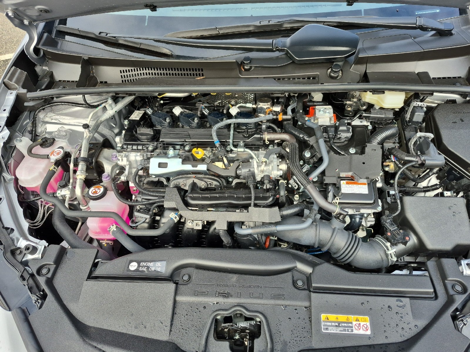 2025 Toyota Prius XLE