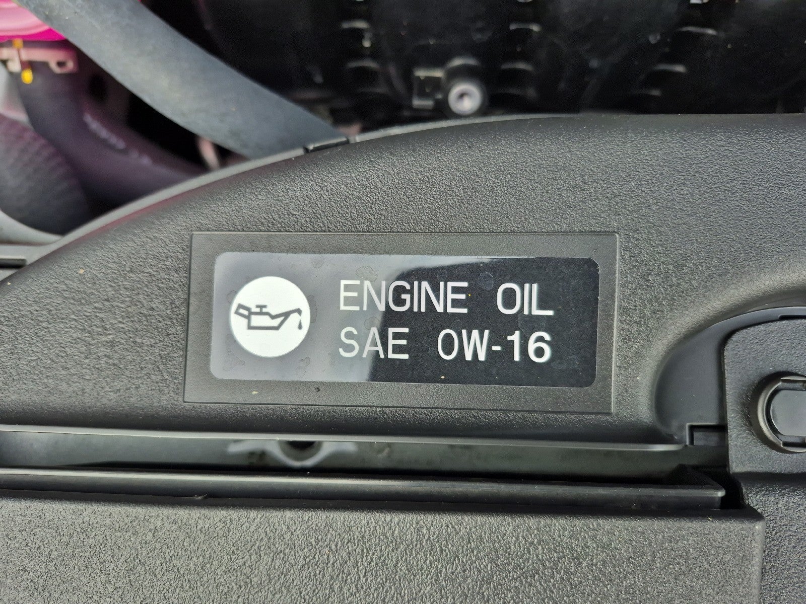 2025 Toyota Prius XLE