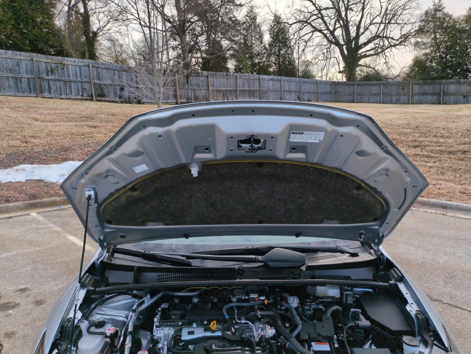 2023 Toyota Prius XLE