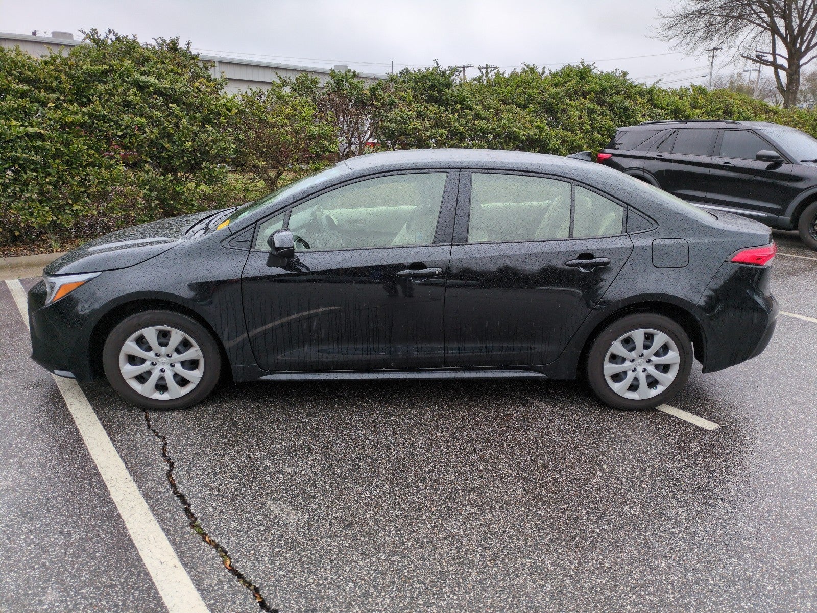 2024 Toyota Corolla Hybrid SE