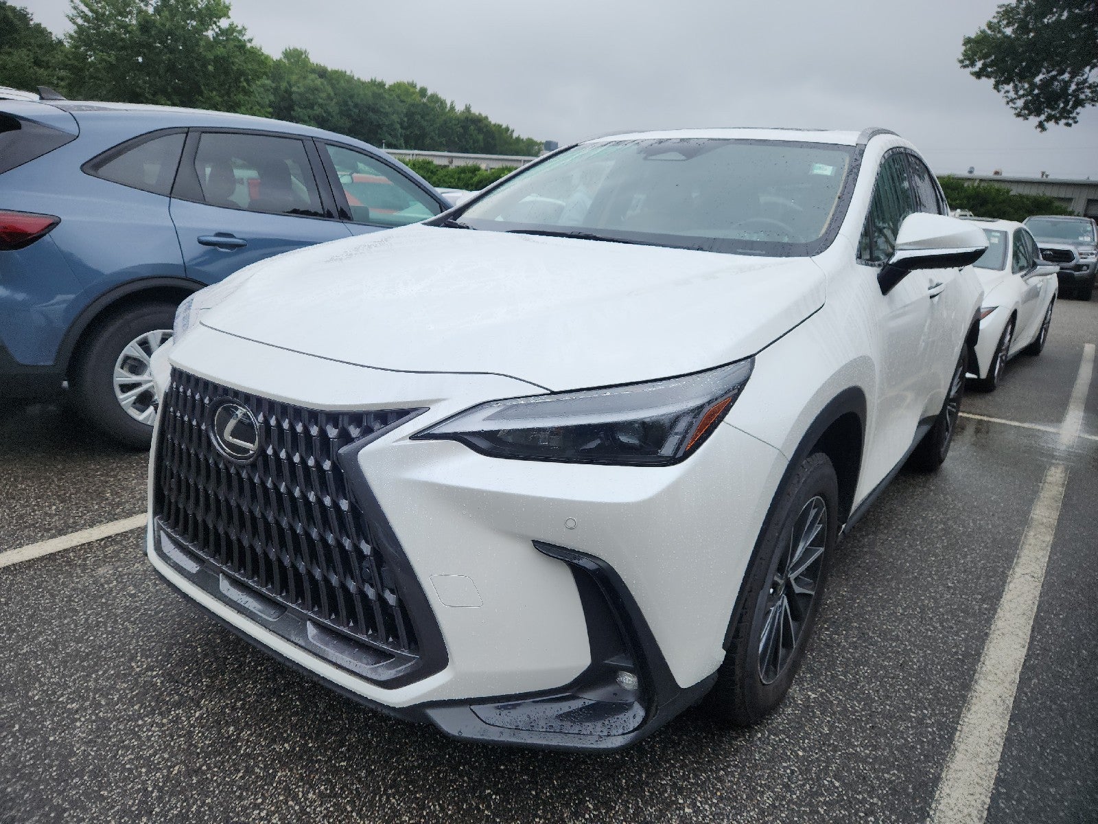 2022 Lexus NX NX 350h Premium