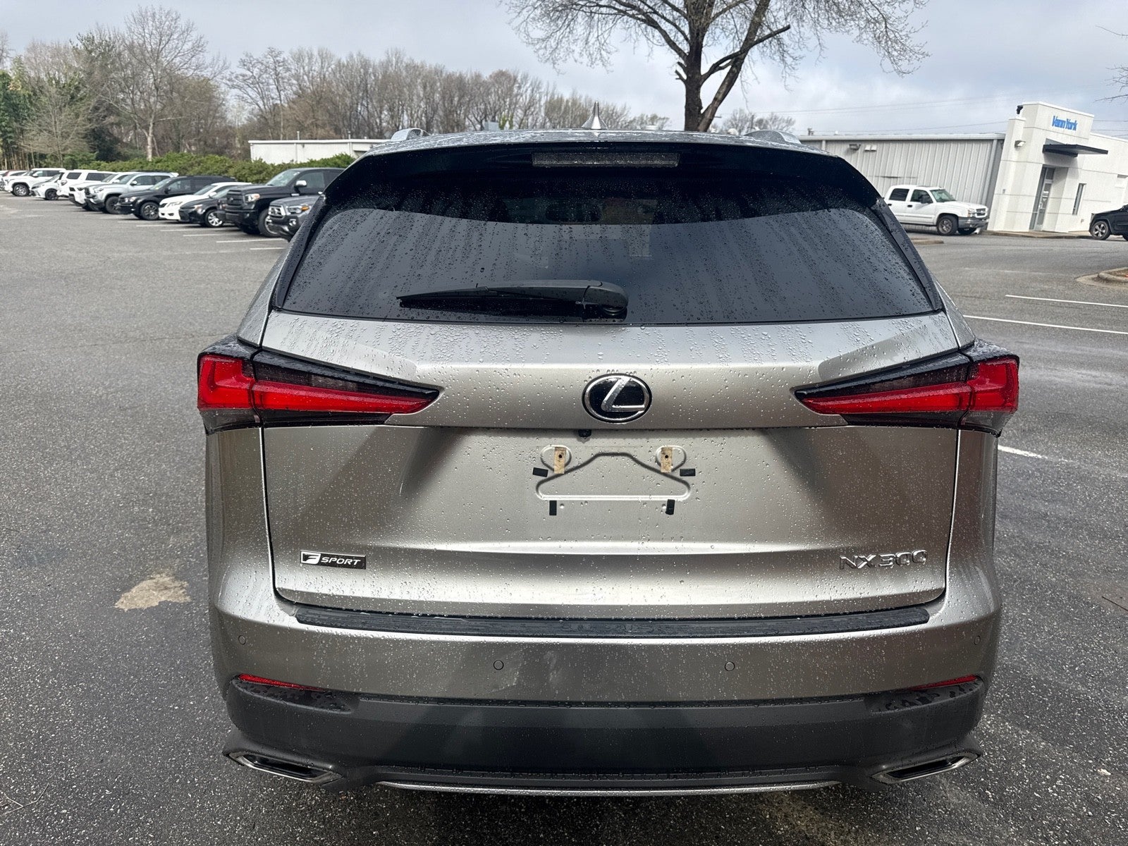 2021 Lexus NX NX 300 F SPORT