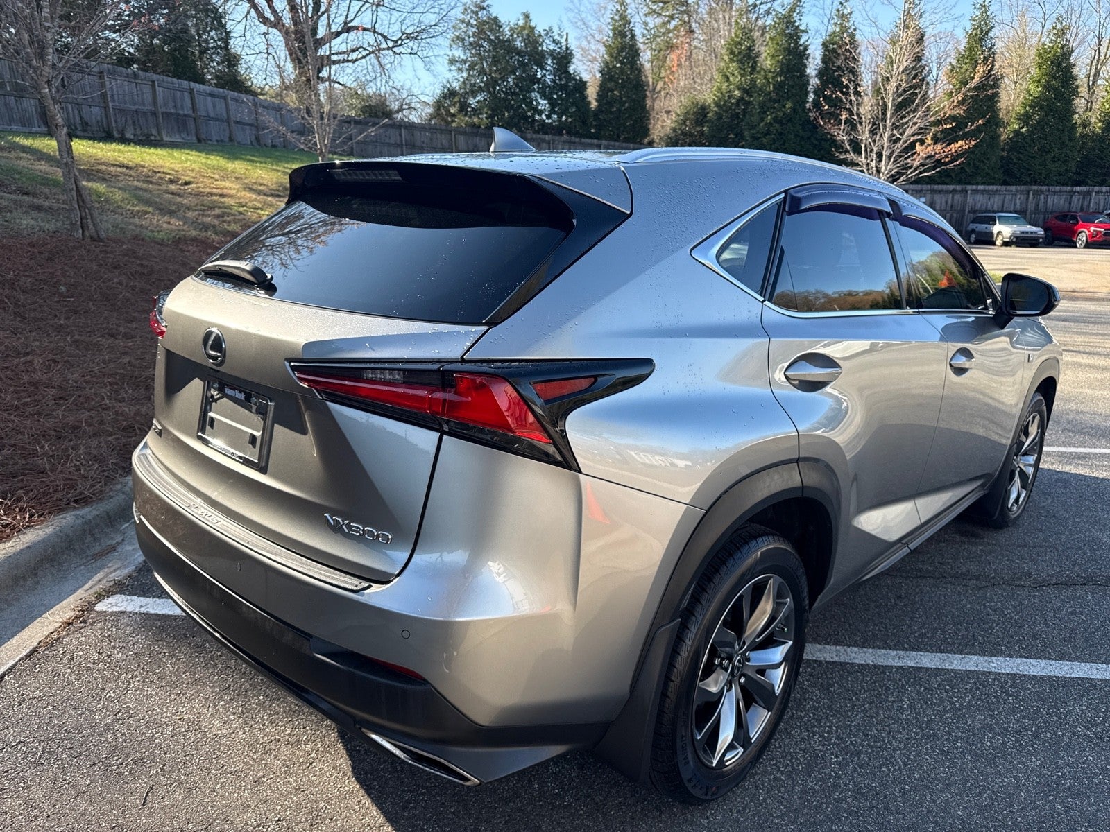 2021 Lexus NX NX 300 F SPORT
