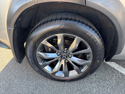 2021 Lexus NX NX 300 F SPORT