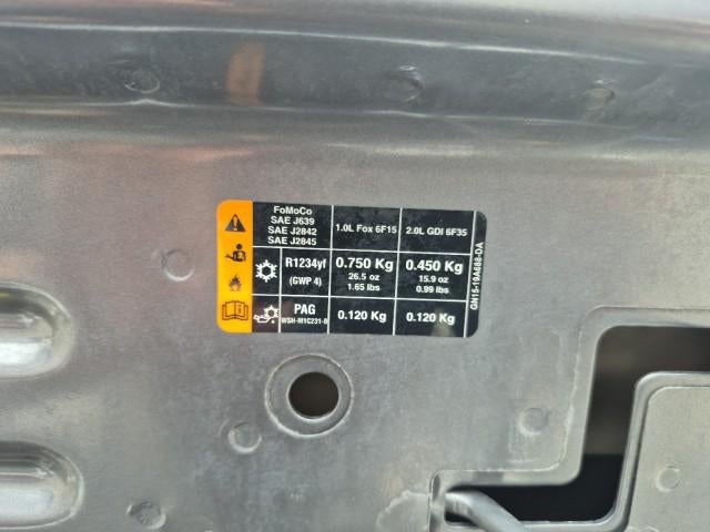 2020 Ford EcoSport SES