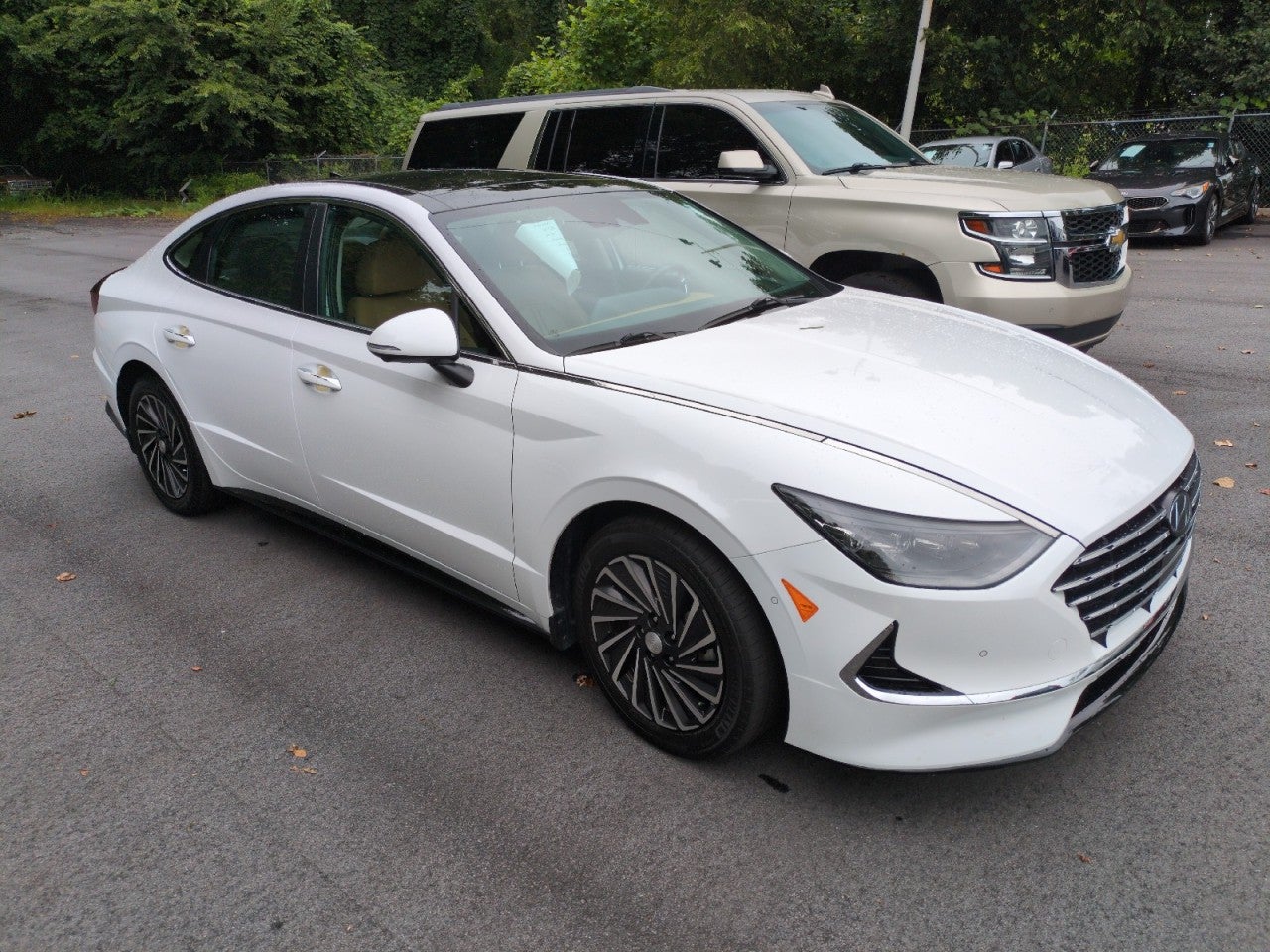 2023 Hyundai Sonata Hybrid Limited