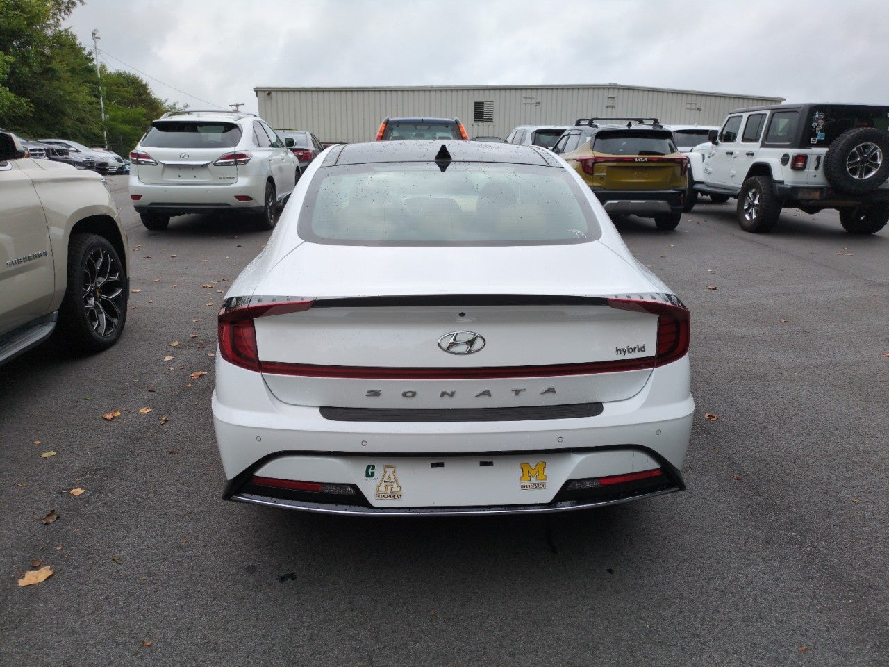 2023 Hyundai Sonata Hybrid Limited