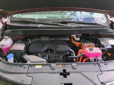 2026 Kia Carnival Hybrid LXS