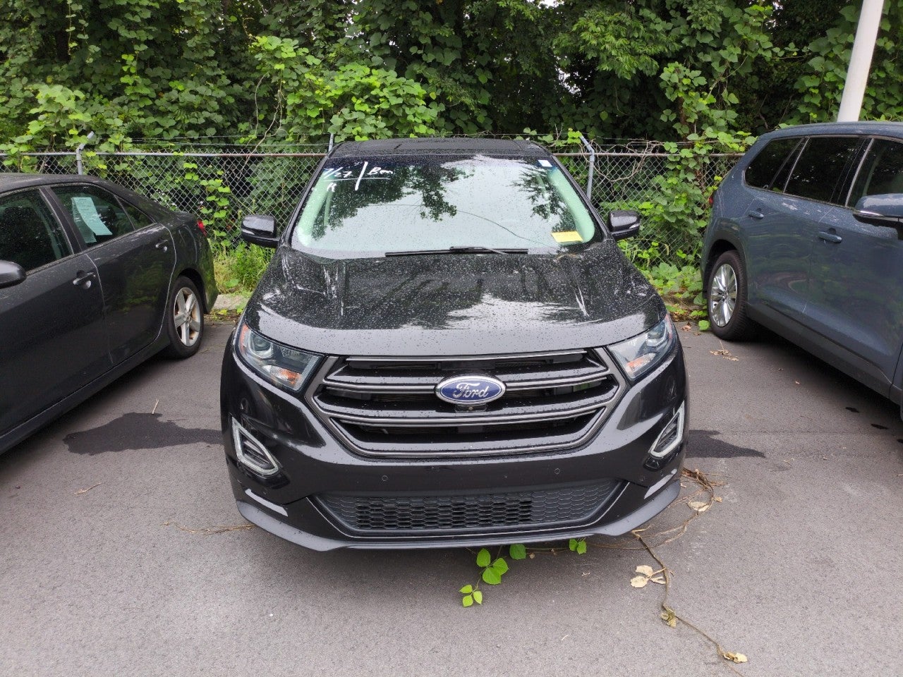 2015 Ford Edge Sport