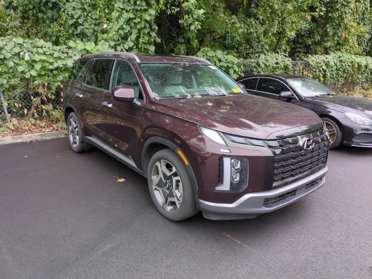 2024 Hyundai Palisade SEL 8P